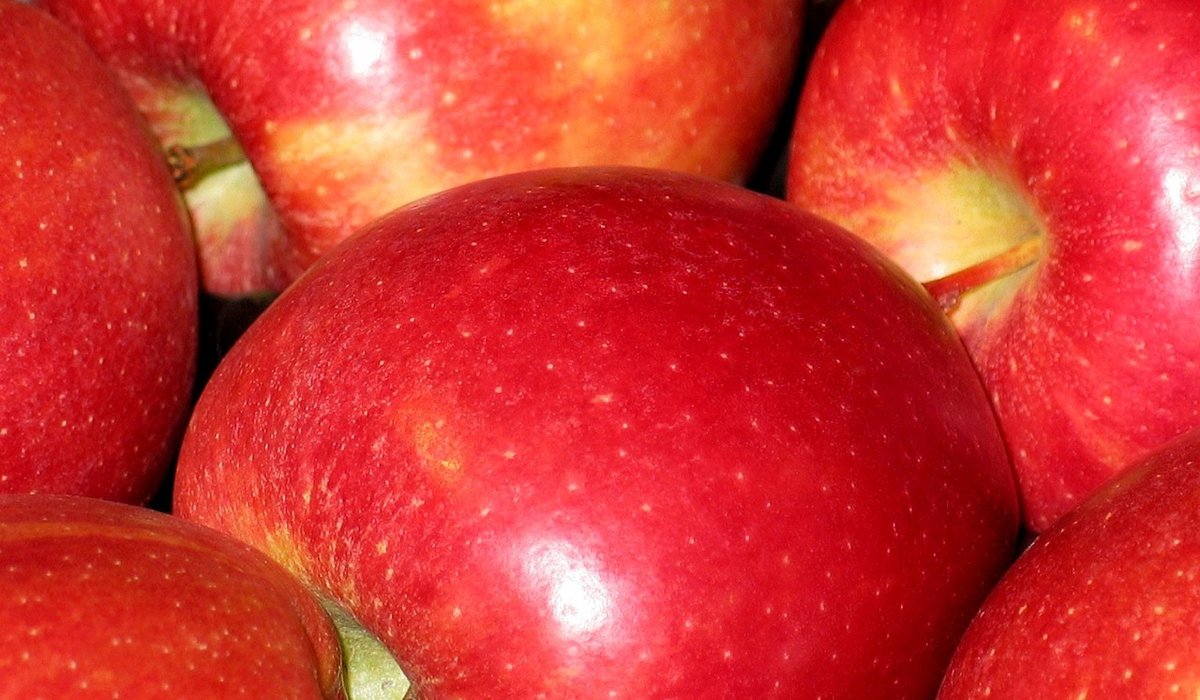 Seasonal Recipes Using Local Orchard Apples